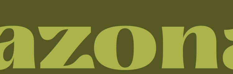 Das Bild zeigt das Wort „sazonal“ in großen, stilisierten Buchstaben auf olivgrünem Hintergrund, was auf saisonale Angebote oder Informationen hinweist.